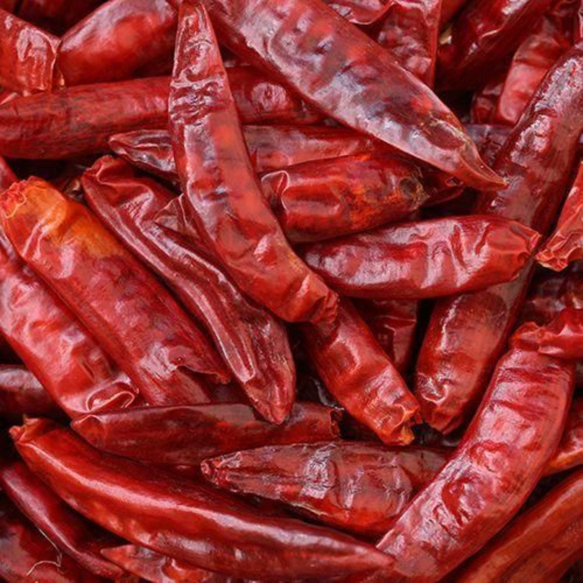 Whole Red Chilli - Image 3